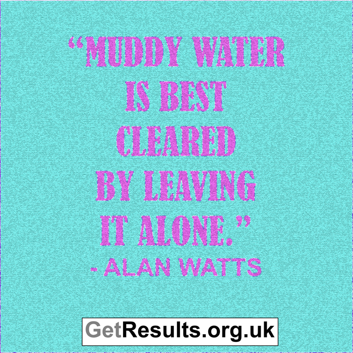 Get Results: muddy water is best cleared by leaving it alone