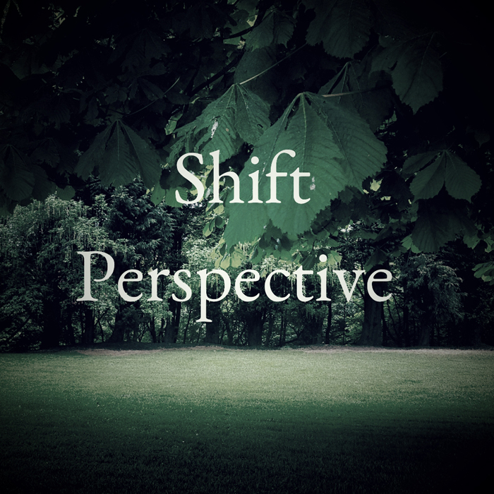 Get Results: shift perspective