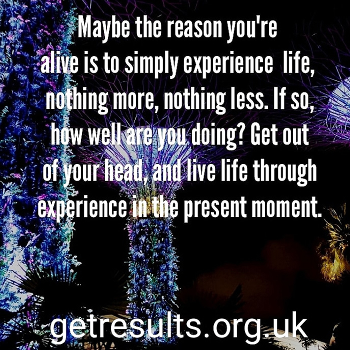Get Results: experience life