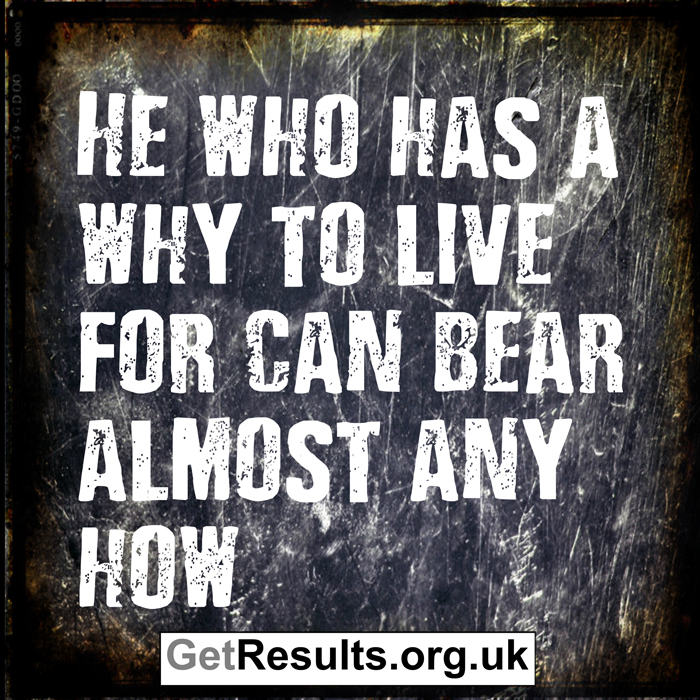 Get Results: purpose of why can bear any how