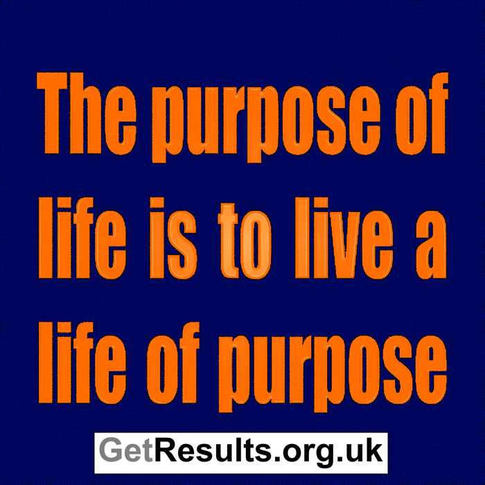 Get Results: the purpose of life is to live with purpose